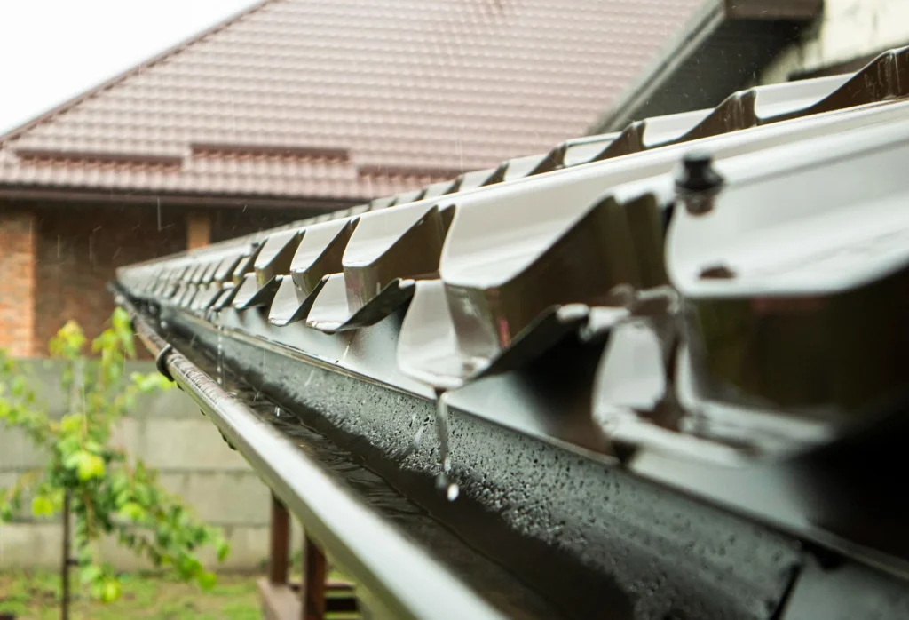 Gutter Cleaning
