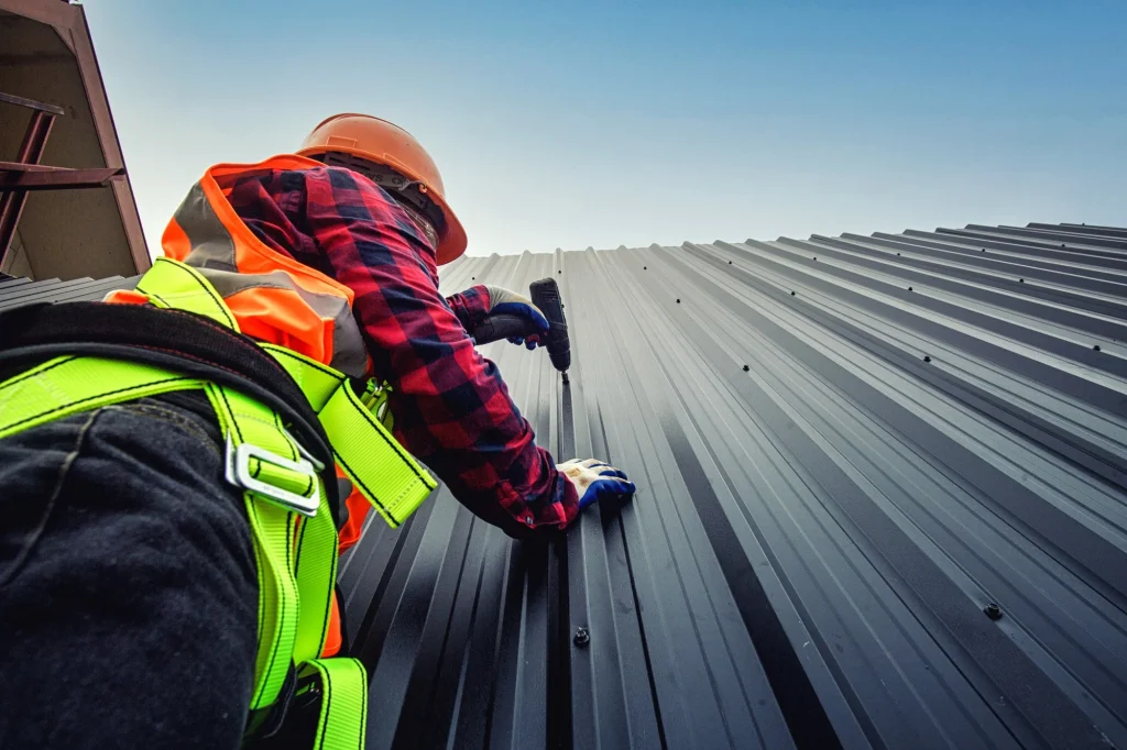 Professional Roof Inspection