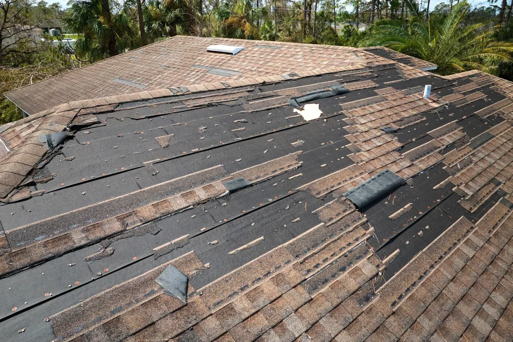 How to Spot Roof Damage Cloquet MN Top Expert Tips