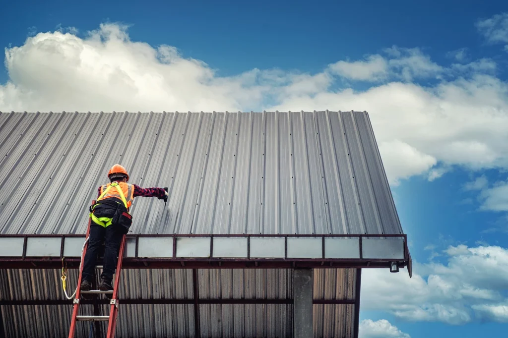 Professional Roof Maintenance Services